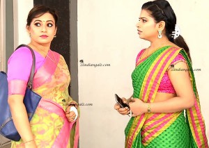 5l Srija jot n sexy in saree (1)